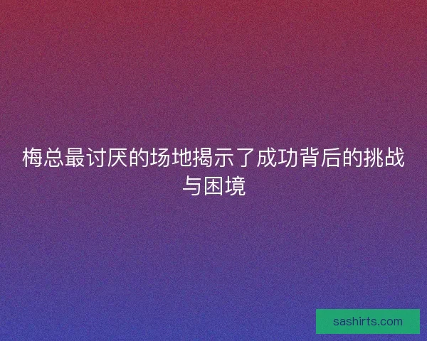 梅总最讨厌的场地揭示了成功背后的挑战与困境