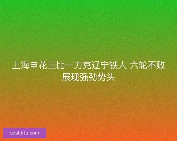 上海申花三比一力克辽宁铁人 六轮不败展现强劲势头 上海申花三比一力克辽宁铁人 六轮不败展现强劲势头